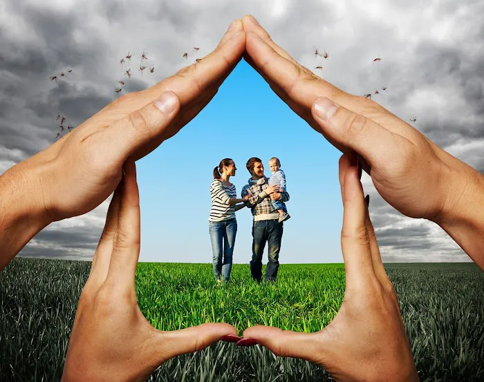 Total Home Pest Control Picture 10