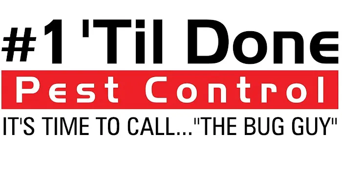 #1 'Til Done Pest Control Picture 1