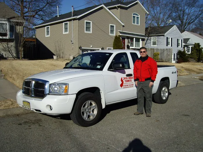 North Jersey Termite Picture 8