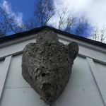 Aardvark Animal & Pest Control
