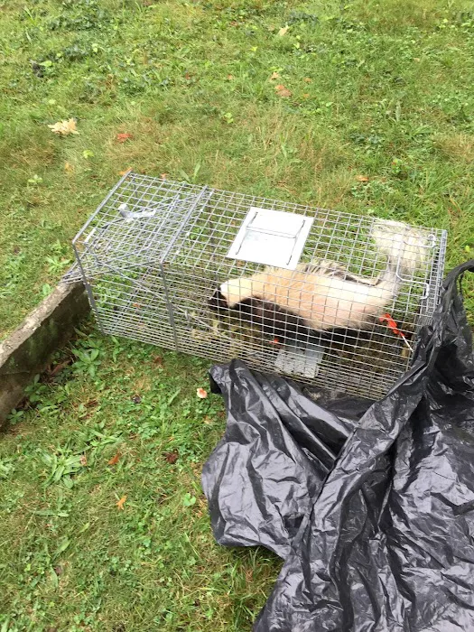 Aardvark Animal & Pest Control Picture 7