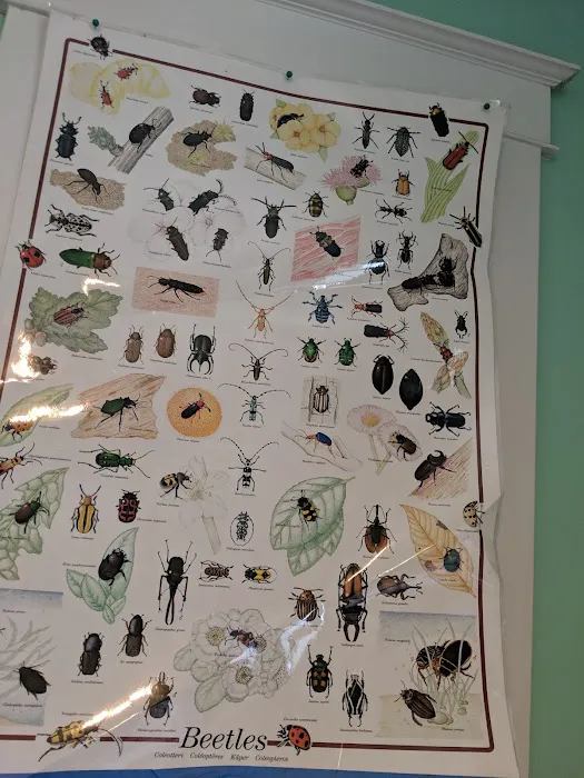 Bug Runner-Exterminating Co Picture 8