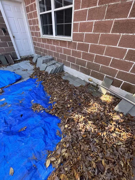 Aptive Pest Control Picture 3