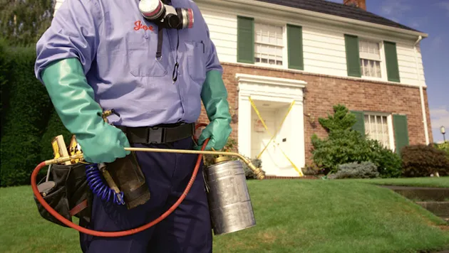 Stateline Pest Control Inc. Picture 3