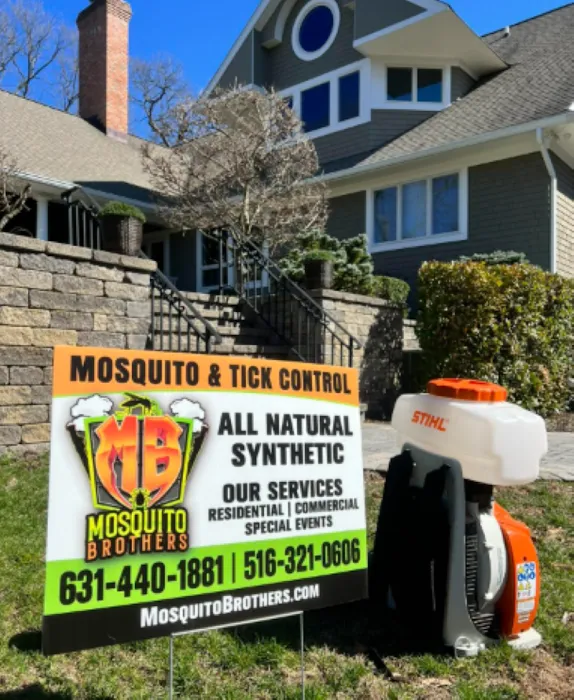 Mosquito Brothers Picture 5