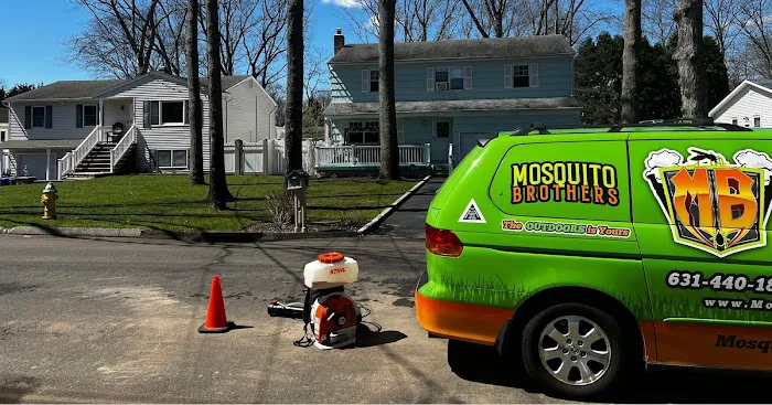 Mosquito Brothers Picture 9