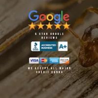 Long Island Exterminator - Optimum Pest Control ico