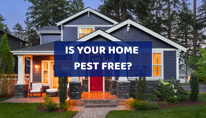 Rest Easy Pest Control Picture 4