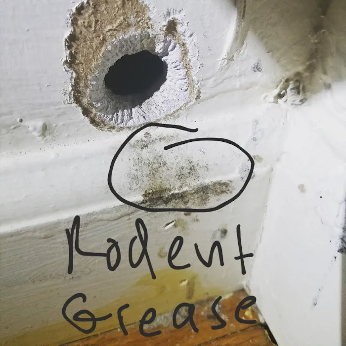 Rest Easy Pest Control Picture 3