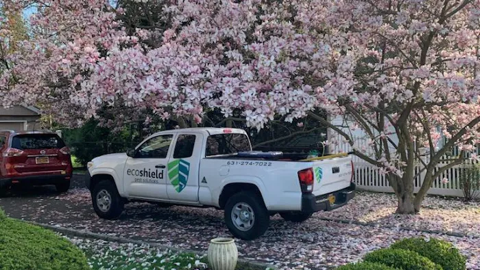 EcoShield Pest Solutions Picture 9