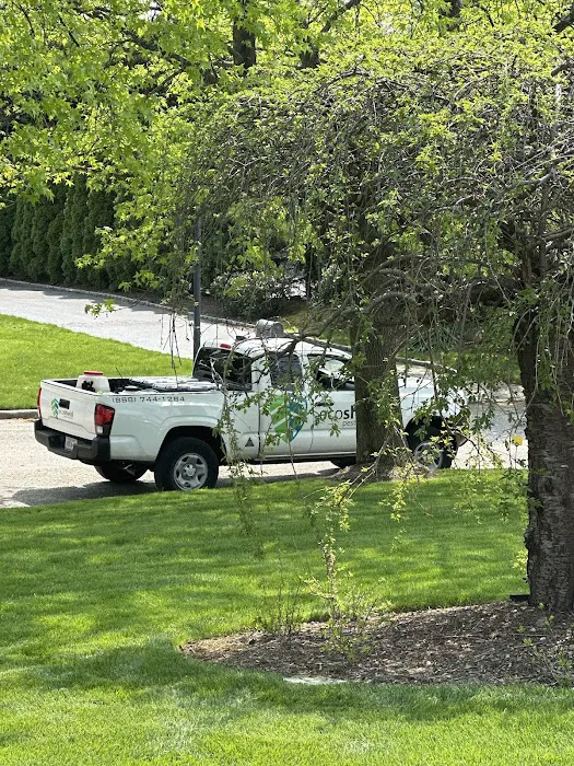 EcoShield Pest Solutions Picture 2