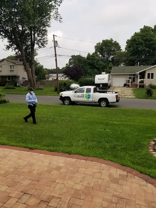 EcoShield Pest Solutions Picture 4