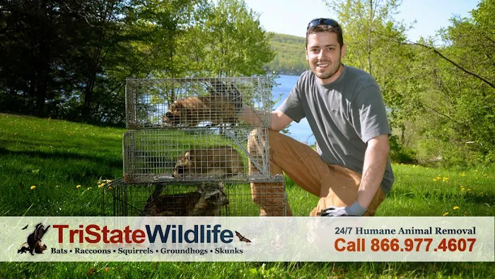 TriState Wildlife Picture 8