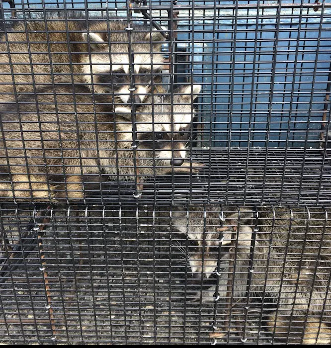 TriState Wildlife Picture 10