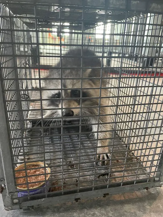 Exterminex Pest Control Inc Picture 1