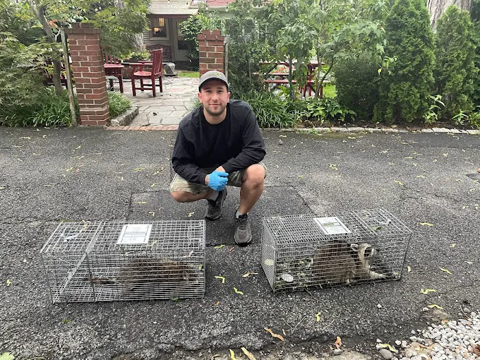 Exterminex Pest Control Inc Picture 6