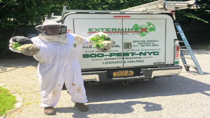 Exterminex Pest Control Inc Picture 3