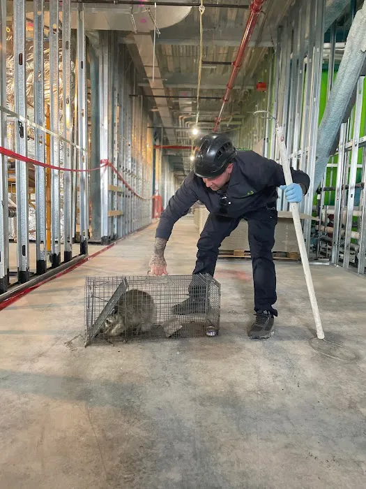 Exterminex Pest Control Inc Picture 5