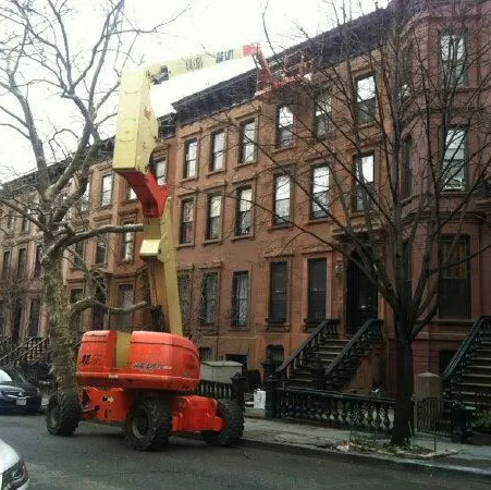 Exterminex Pest Control Inc Picture 2