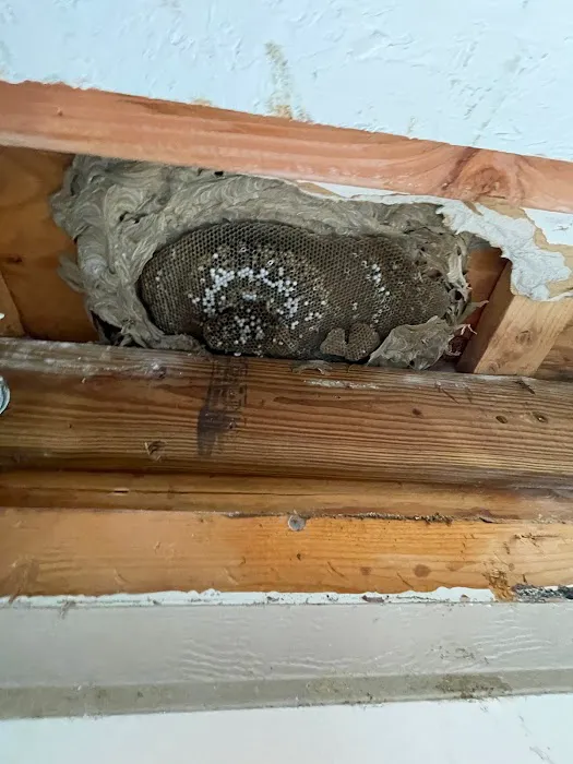Exterminex Pest Control Inc Picture 7