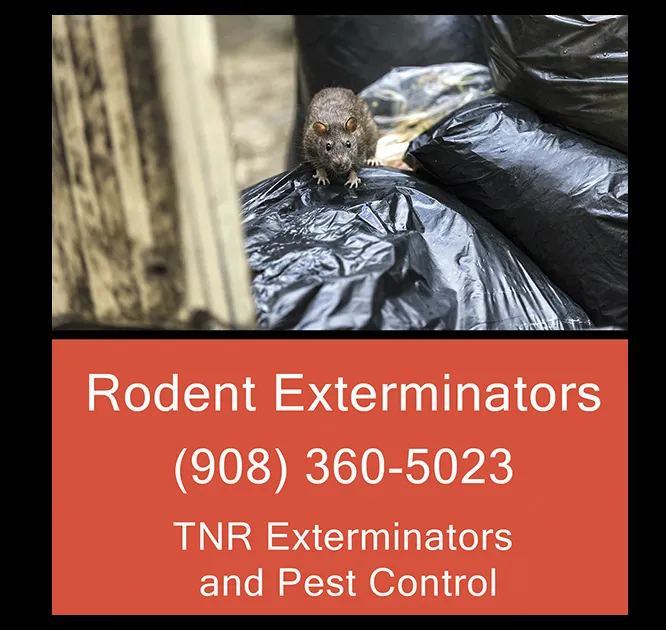 TNR Exterminators Picture 8