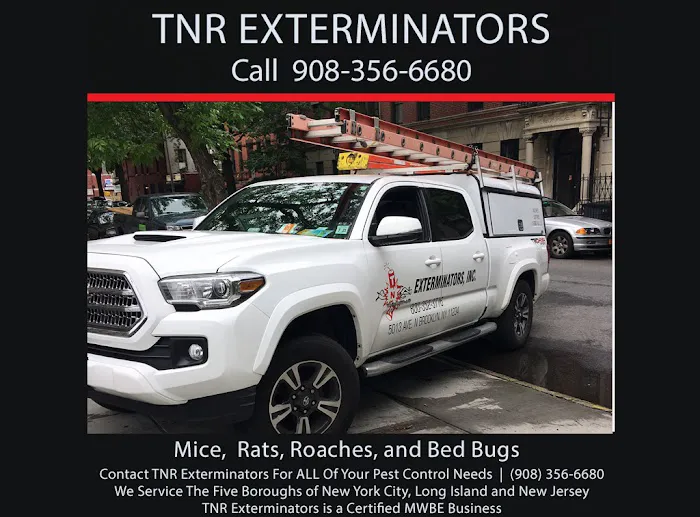 TNR Exterminators Picture 2