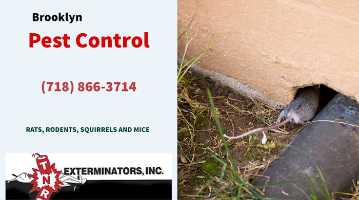 TNR Exterminators Picture 9