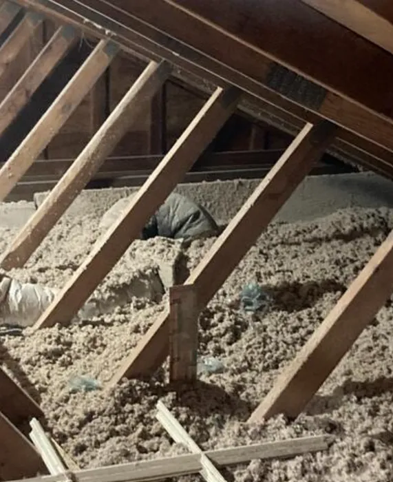 Cowleys Pest Services Picture 7