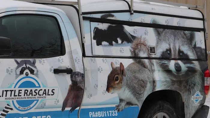 Cowleys Pest Services Picture 4