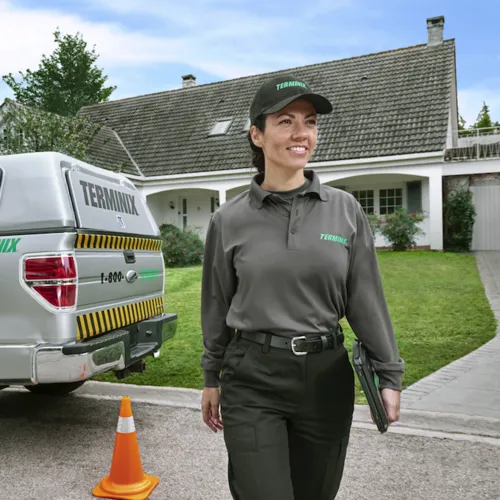 Terminix Commercial Picture 7