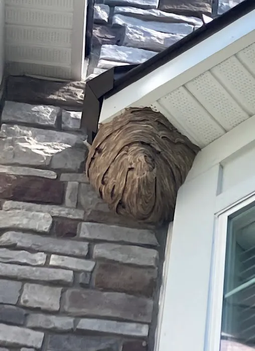Driven Pest Services LLC Picture 10