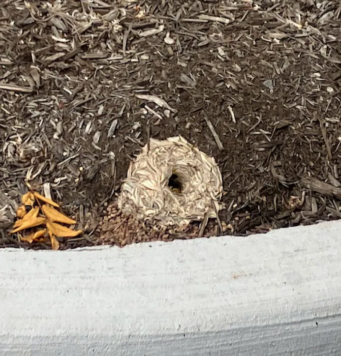 Driven Pest Services LLC Picture 4