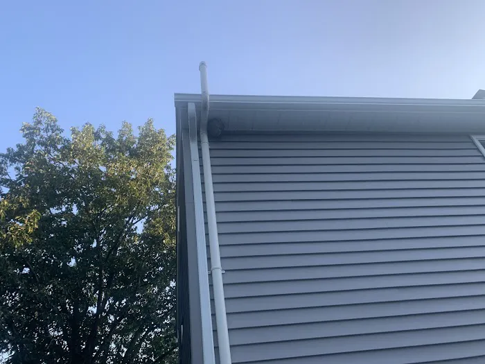 Driven Pest Services LLC Picture 2