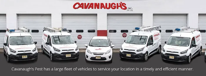 Cavanaugh's Termite & Pest Services, Inc. - A Division of Viking Pest Control Picture 5
