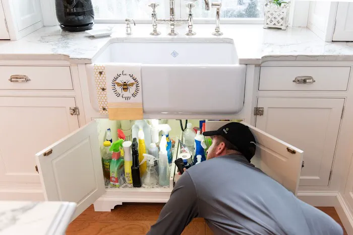 Cavanaugh's Termite & Pest Services, Inc. - A Division of Viking Pest Control Picture 7