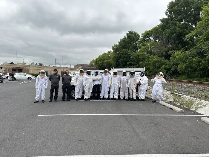 Cavanaugh's Termite & Pest Services, Inc. - A Division of Viking Pest Control Picture 9