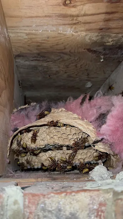 Legend Pest Control Picture 4