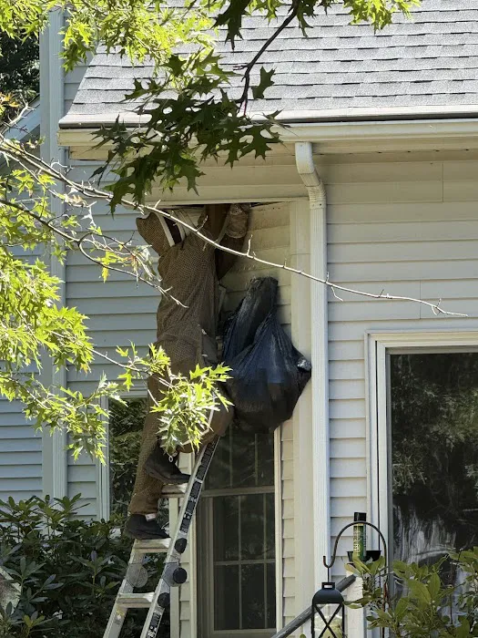 Legend Pest Control Picture 2