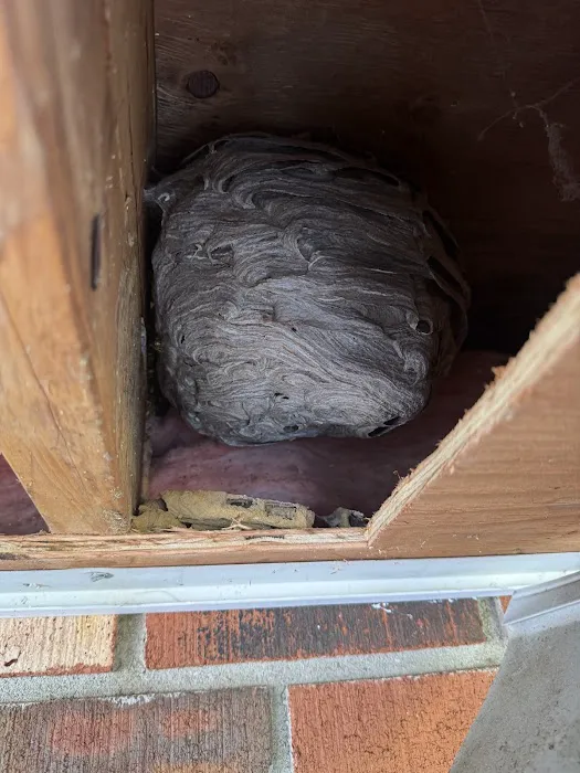 Legend Pest Control Picture 6