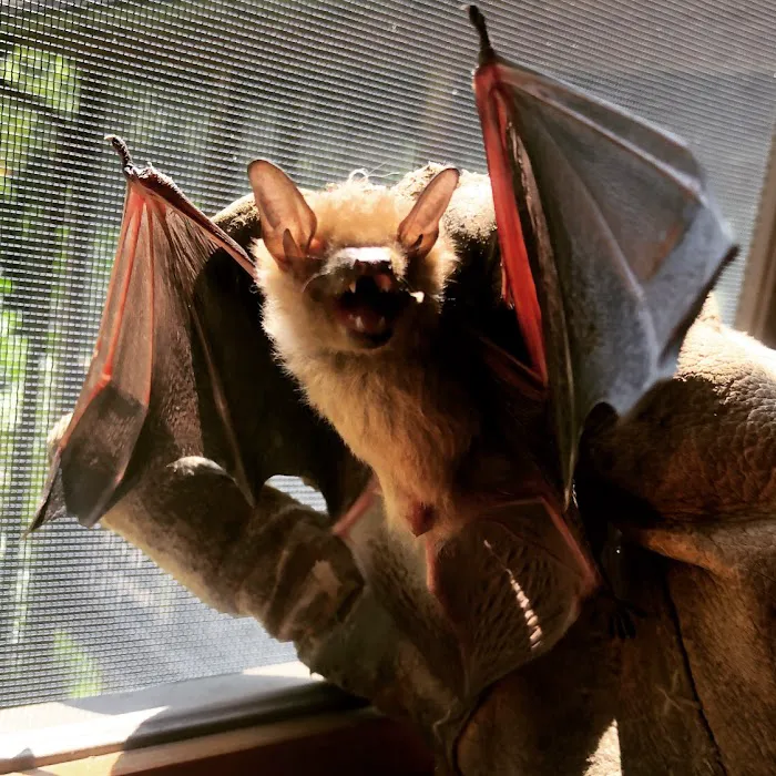 Quality Pro Pest & Wildlife Services Picture 10