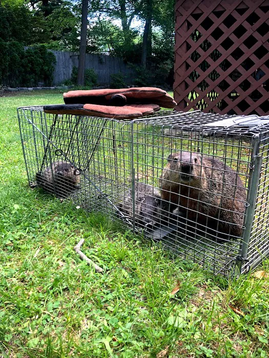Quality Pro Pest & Wildlife Services Picture 9