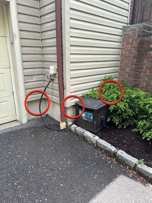 Quality Pro Pest & Wildlife Services Picture 6