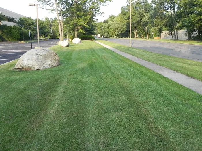 Weed Patrol Picture 10
