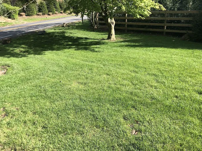Weed Patrol Picture 6