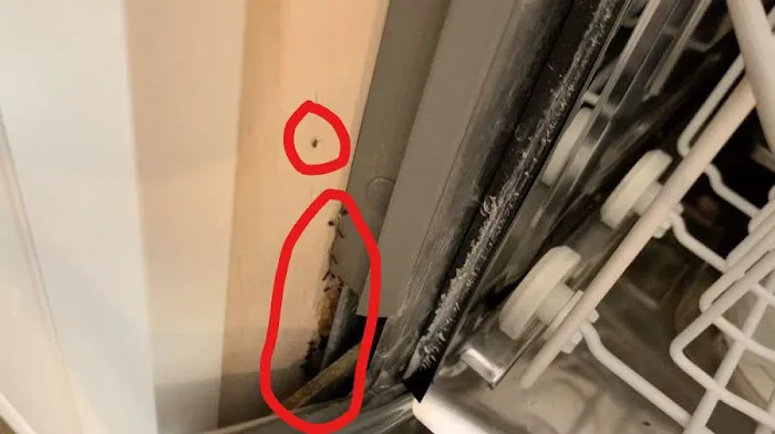 The Bug Masters Picture 2