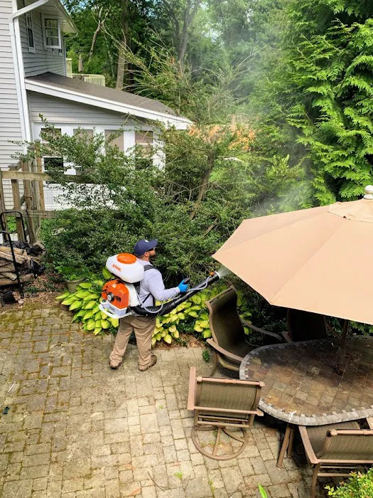 Backyard Bug Busters Picture 8