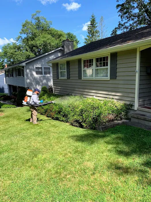Backyard Bug Busters Picture 10