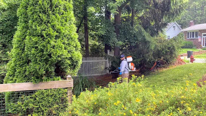 Backyard Bug Busters Picture 9