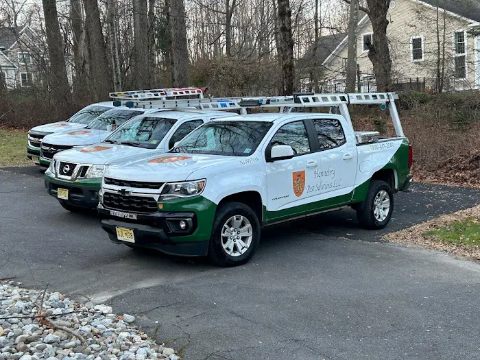 Hennebry Pest Solutions LLC Picture 2