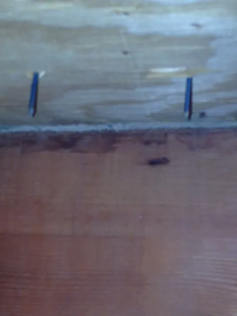 On Point Pest Control Picture 1